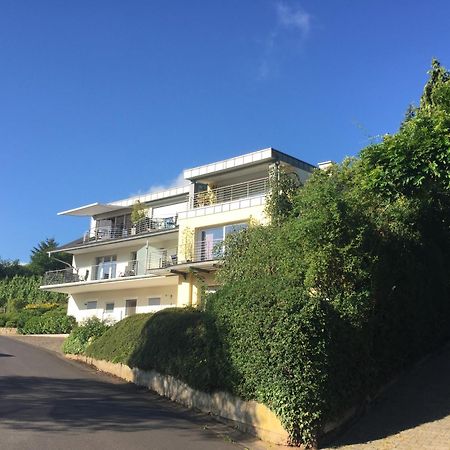Ferienhaus Panorama Mosel ライル エクステリア 写真