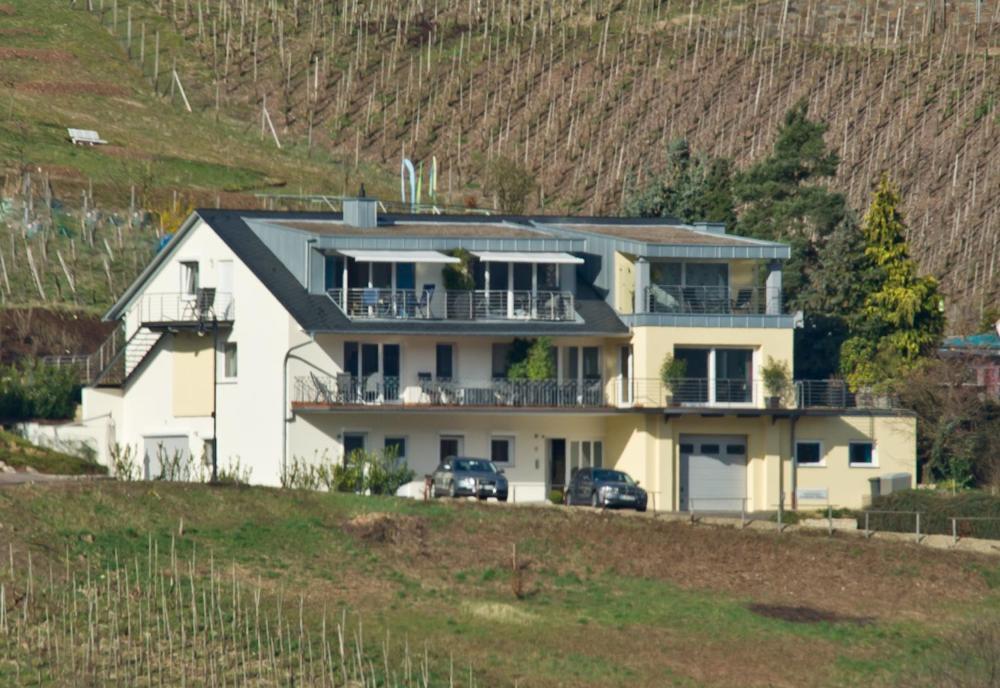 Ferienhaus Panorama Mosel ライル エクステリア 写真