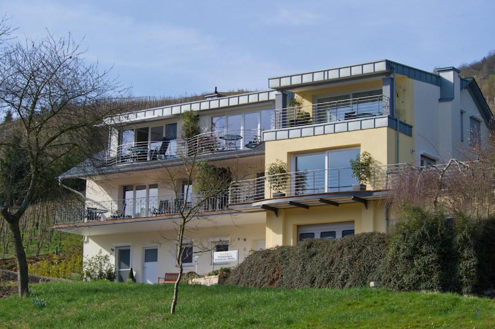 Ferienhaus Panorama Mosel ライル エクステリア 写真