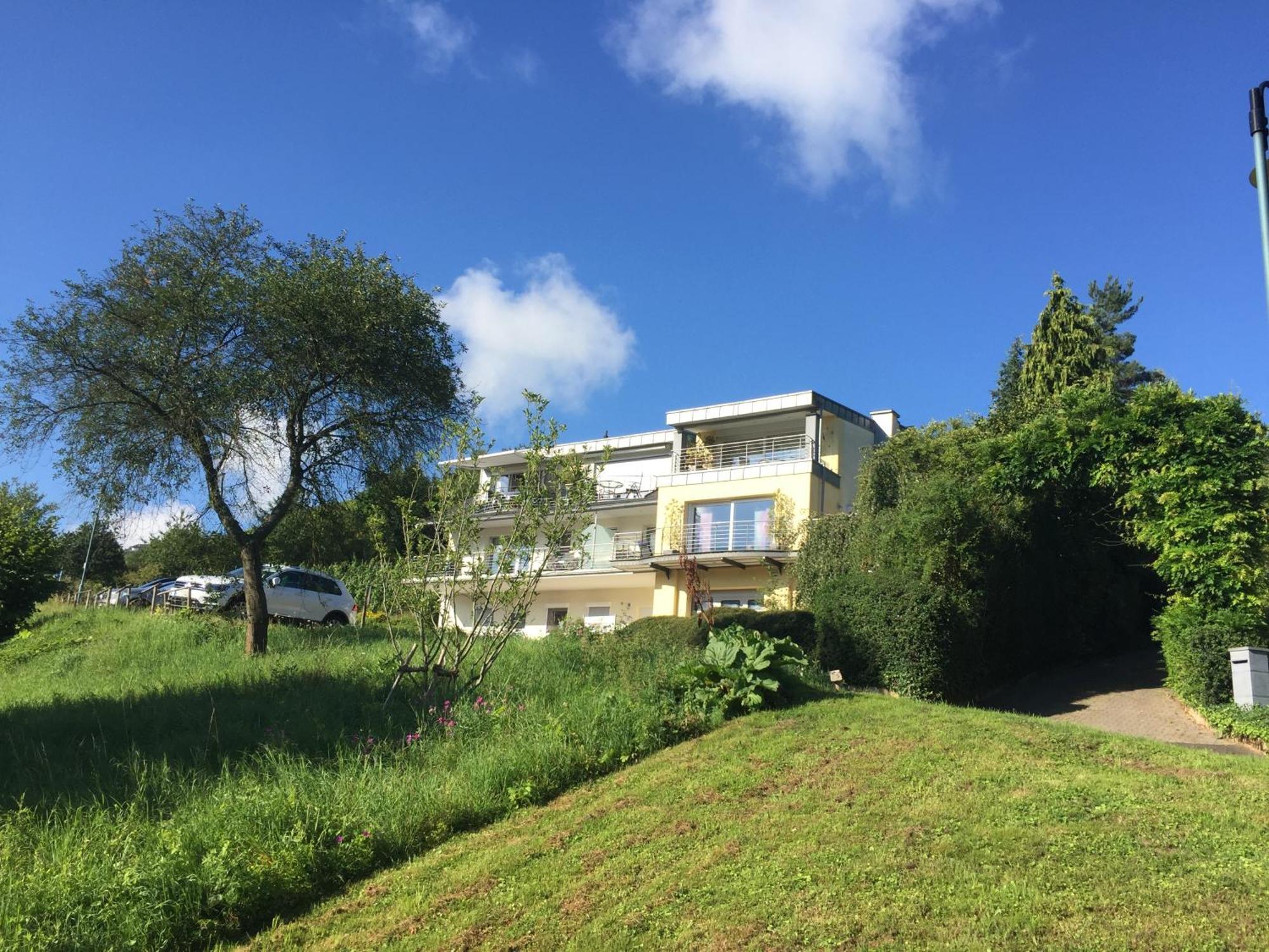 Ferienhaus Panorama Mosel ライル エクステリア 写真